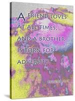 Proverbs 17:9-Cathy Cute-Stretched Canvas