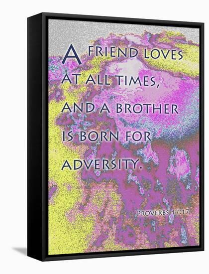 Proverbs 17:9-Cathy Cute-Framed Stretched Canvas