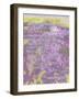 Proverbs 30:18-19-Cathy Cute-Framed Giclee Print