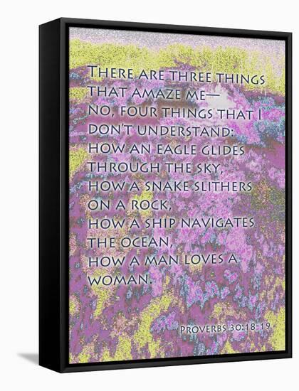 Proverbs 30:18-19-Cathy Cute-Framed Stretched Canvas