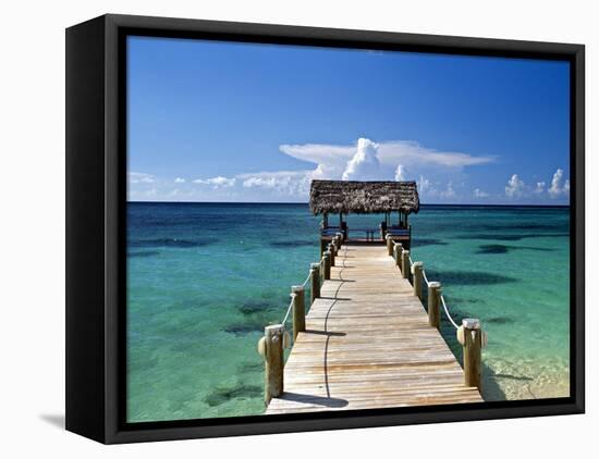 Providence Island, Bahamas, Caribbean-Peter Adams-Framed Stretched Canvas