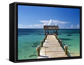 Providence Island, Bahamas, Caribbean-Peter Adams-Framed Stretched Canvas