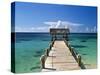 Providence Island, Bahamas, Caribbean-Peter Adams-Stretched Canvas
