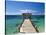 Providence Island, Bahamas, Caribbean-Peter Adams-Stretched Canvas