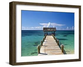 Providence Island, Bahamas, Caribbean-Peter Adams-Framed Photographic Print