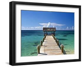 Providence Island, Bahamas, Caribbean-Peter Adams-Framed Photographic Print