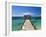 Providence Island, Bahamas, Caribbean-Peter Adams-Framed Photographic Print