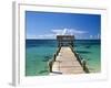 Providence Island, Bahamas, Caribbean-Peter Adams-Framed Photographic Print