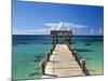 Providence Island, Bahamas, Caribbean-Peter Adams-Mounted Photographic Print
