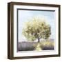 Province-Allison Pearce-Framed Art Print