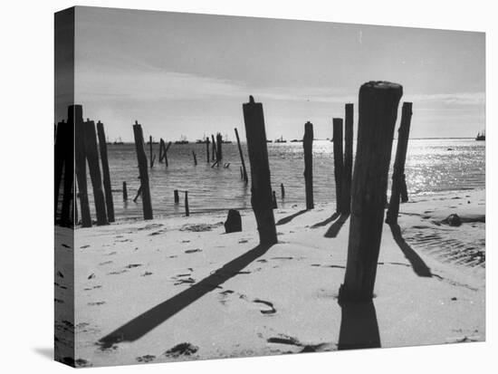 Provincetown Fishing Fleet in Cape Cod Bay-Eliot Elisofon-Stretched Canvas