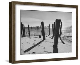 Provincetown Fishing Fleet in Cape Cod Bay-Eliot Elisofon-Framed Photographic Print