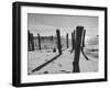 Provincetown Fishing Fleet in Cape Cod Bay-Eliot Elisofon-Framed Photographic Print