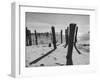 Provincetown Fishing Fleet in Cape Cod Bay-Eliot Elisofon-Framed Photographic Print