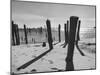 Provincetown Fishing Fleet in Cape Cod Bay-Eliot Elisofon-Mounted Photographic Print