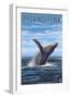 Provincetown, Massachusetts - Humpback Whale Scene-Lantern Press-Framed Art Print