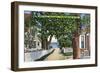 Provincetown, Massachusetts - Street Scene of Residences-Lantern Press-Framed Art Print