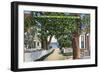 Provincetown, Massachusetts - Street Scene of Residences-Lantern Press-Framed Art Print