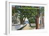 Provincetown, Massachusetts - Street Scene of Residences-Lantern Press-Framed Art Print