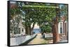 Provincetown, Massachusetts - Street Scene of Residences-Lantern Press-Framed Stretched Canvas