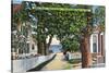 Provincetown, Massachusetts - Street Scene of Residences-Lantern Press-Stretched Canvas