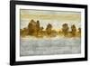 Provincial Peace II-Mark Chandon-Framed Giclee Print