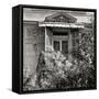 Provincial Window II-Rita Crane-Framed Stretched Canvas