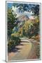 Provo Canyon, Utah - Alpine Highway View of North Fork, c.1936-Lantern Press-Mounted Art Print