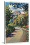 Provo Canyon, Utah - Alpine Highway View of North Fork, c.1936-Lantern Press-Stretched Canvas