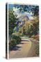 Provo Canyon, Utah - Alpine Highway View of North Fork, c.1936-Lantern Press-Stretched Canvas