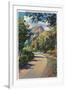 Provo Canyon, Utah - Alpine Highway View of North Fork, c.1936-Lantern Press-Framed Art Print