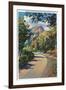 Provo Canyon, Utah - Alpine Highway View of North Fork, c.1936-Lantern Press-Framed Art Print