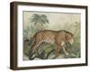 Prowl I-Julia Purinton-Framed Art Print