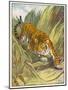 Prowling Tiger-null-Mounted Photographic Print