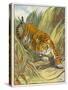 Prowling Tiger-null-Stretched Canvas
