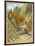 Prowling Tiger-null-Framed Photographic Print