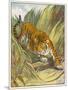 Prowling Tiger-null-Mounted Photographic Print