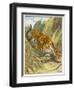 Prowling Tiger-null-Framed Photographic Print