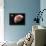 Proxima Centauri B Exoplanet-null-Mounted Photographic Print displayed on a wall