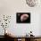 Proxima Centauri B Exoplanet-null-Mounted Photographic Print displayed on a wall