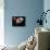 Proxima Centauri B Exoplanet-null-Framed Stretched Canvas displayed on a wall