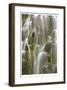 Proxy Falls I-Donald Paulson-Framed Giclee Print