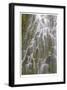 Proxy Falls III-Donald Paulson-Framed Giclee Print