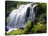 Proxy Falls in Oregon-Stuart Westmorland-Stretched Canvas