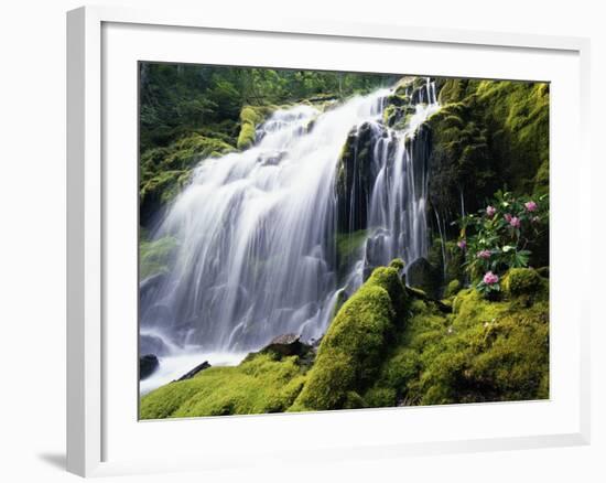 Proxy Falls in Oregon-Stuart Westmorland-Framed Photographic Print