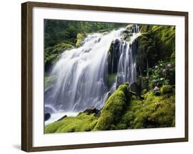 Proxy Falls in Oregon-Stuart Westmorland-Framed Photographic Print