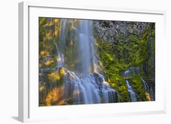 Proxy Falls in the Three Sisters Wilderness, Oregon, Usa-Chuck Haney-Framed Photographic Print