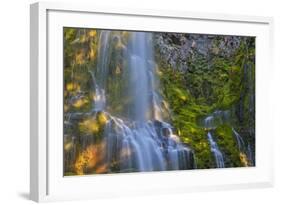 Proxy Falls in the Three Sisters Wilderness, Oregon, Usa-Chuck Haney-Framed Photographic Print