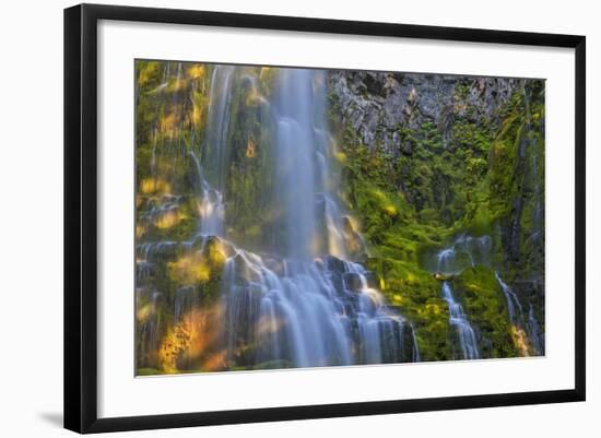 Proxy Falls in the Three Sisters Wilderness, Oregon, Usa-Chuck Haney-Framed Photographic Print