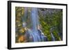 Proxy Falls in the Three Sisters Wilderness, Oregon, Usa-Chuck Haney-Framed Photographic Print